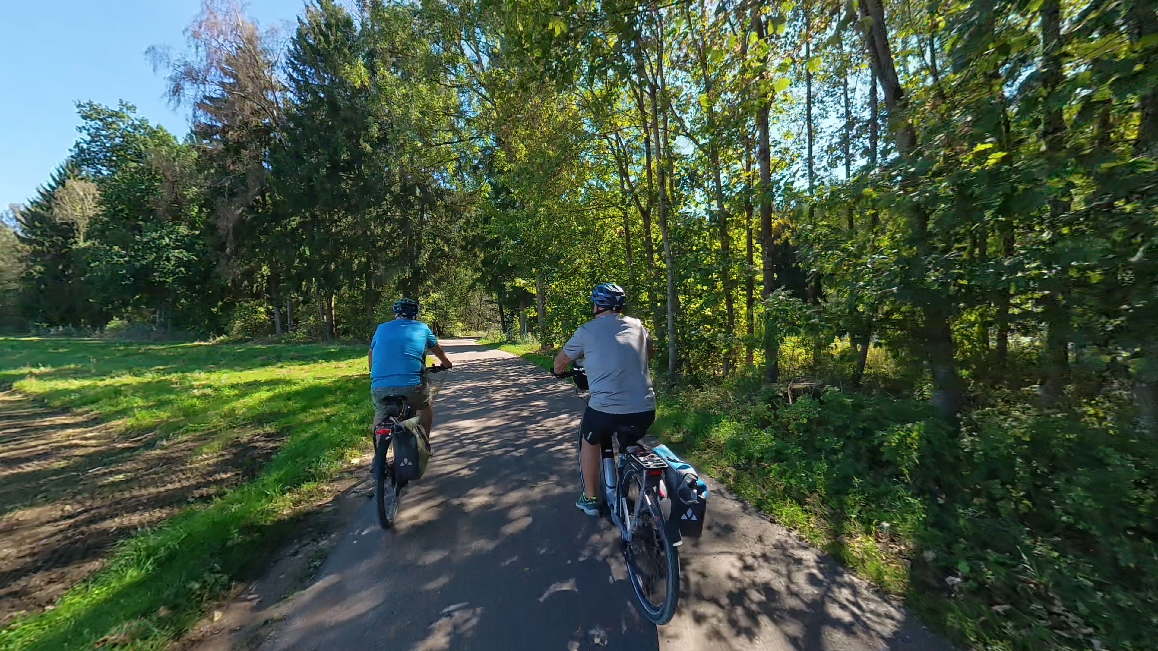 31-heimwärts durchs Vogelschutzgebiet